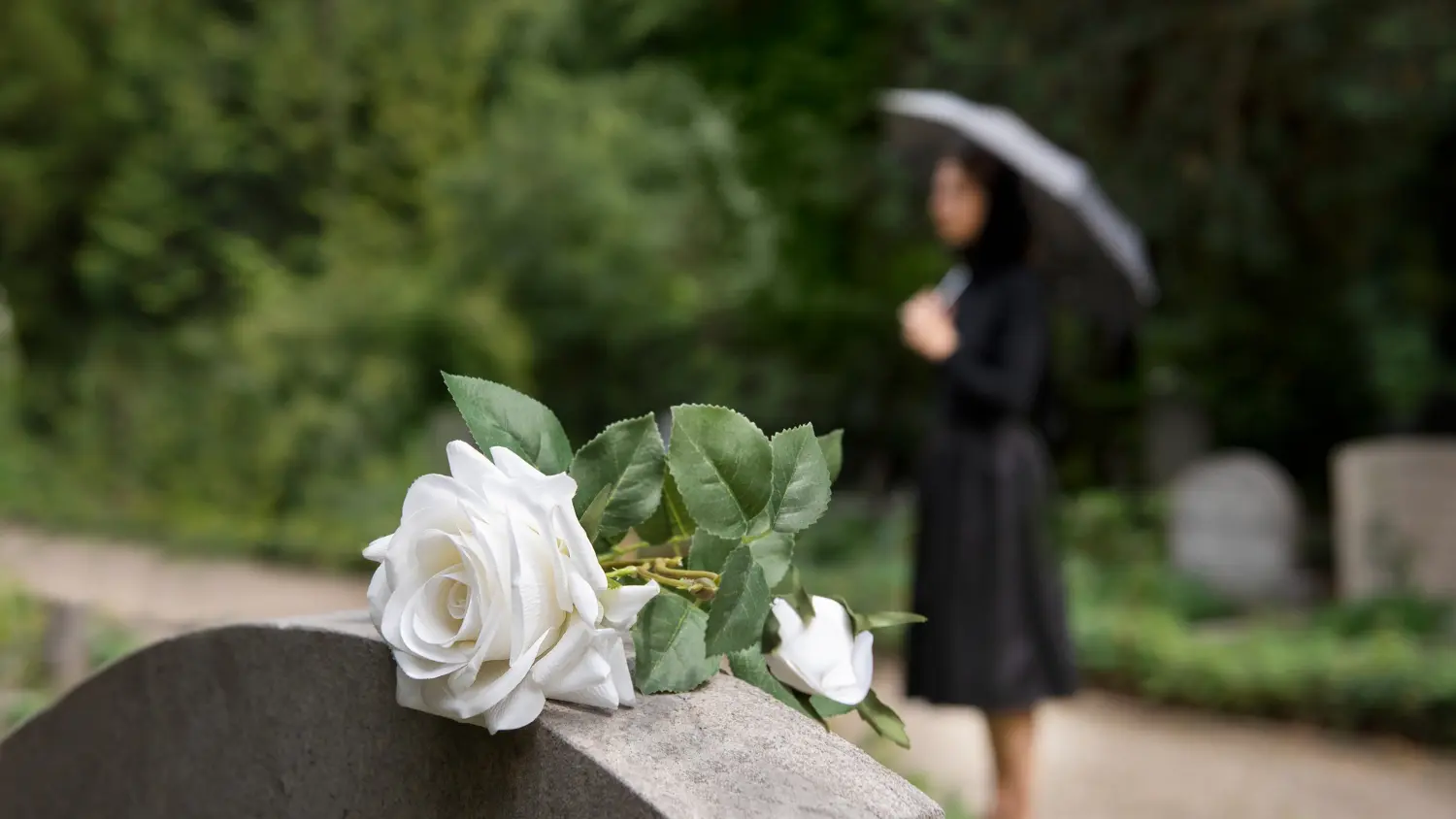 Gestión y Funerarias